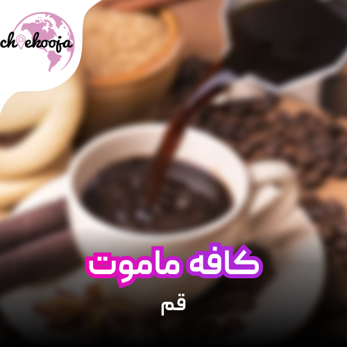 cafemammoth-qom-cheekooja